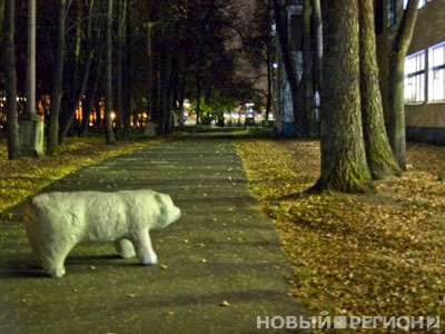 Новый Регион: По городскому пруду в Екатеринбурге плавает белый медведь (ФОТО)