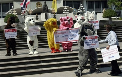 Новый Регион: В Таиланде за права животных борются плюшевые зверюшки (ФОТО)