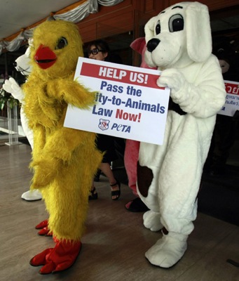 Новый Регион: В Таиланде за права животных борются плюшевые зверюшки (ФОТО)